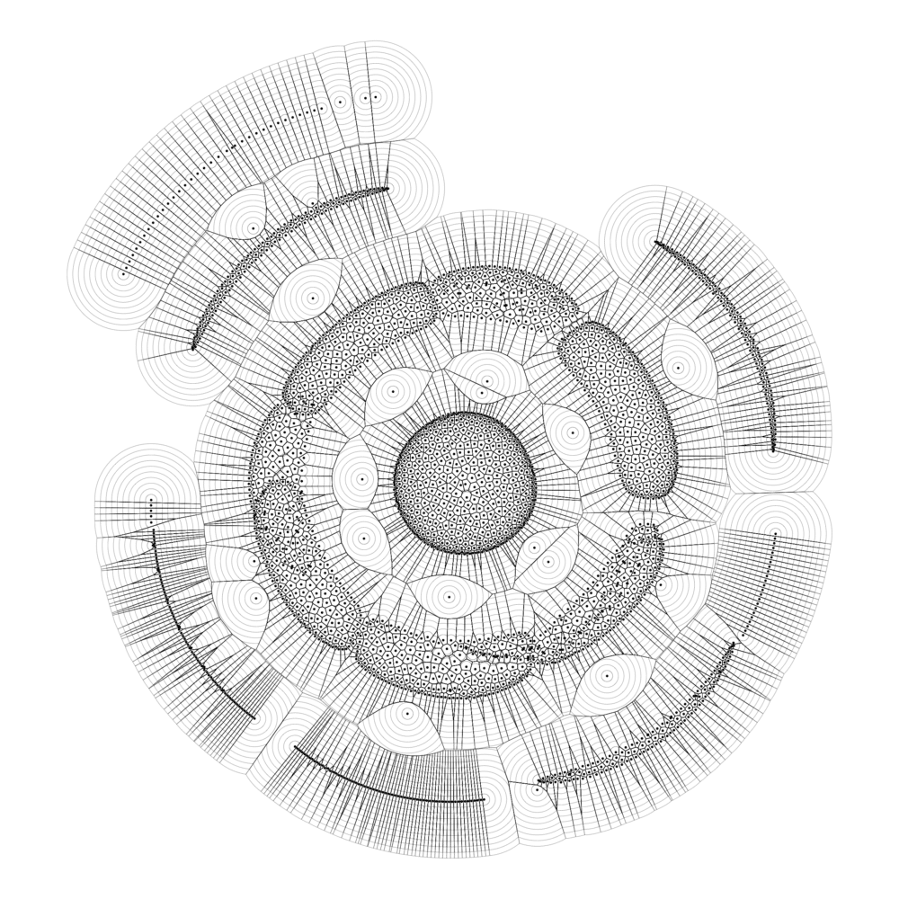 graph-art-082-marcusvolz